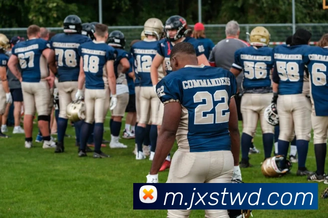 App Interface Preview